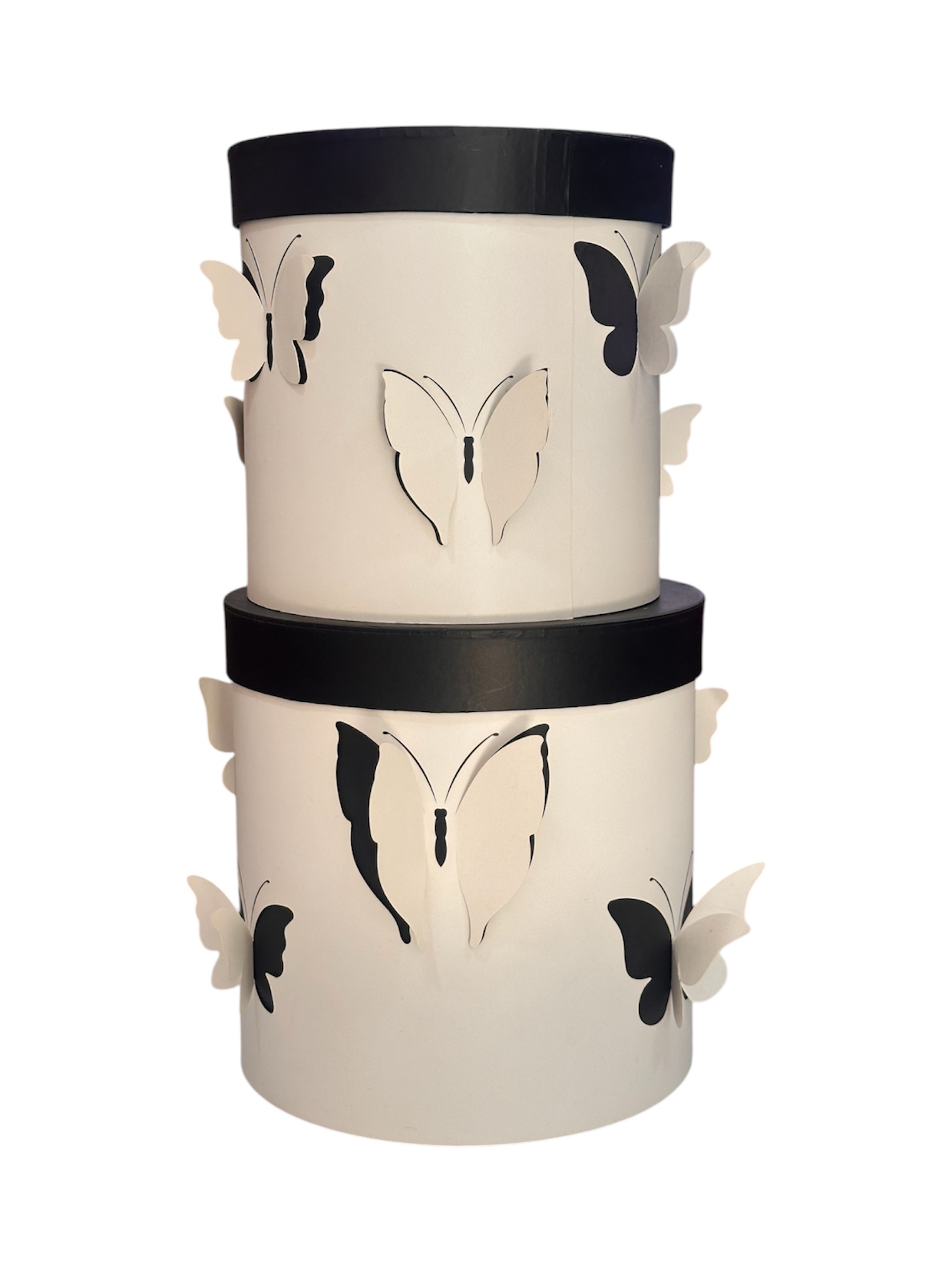 Caja circular blanca con negro con cortes mariposas