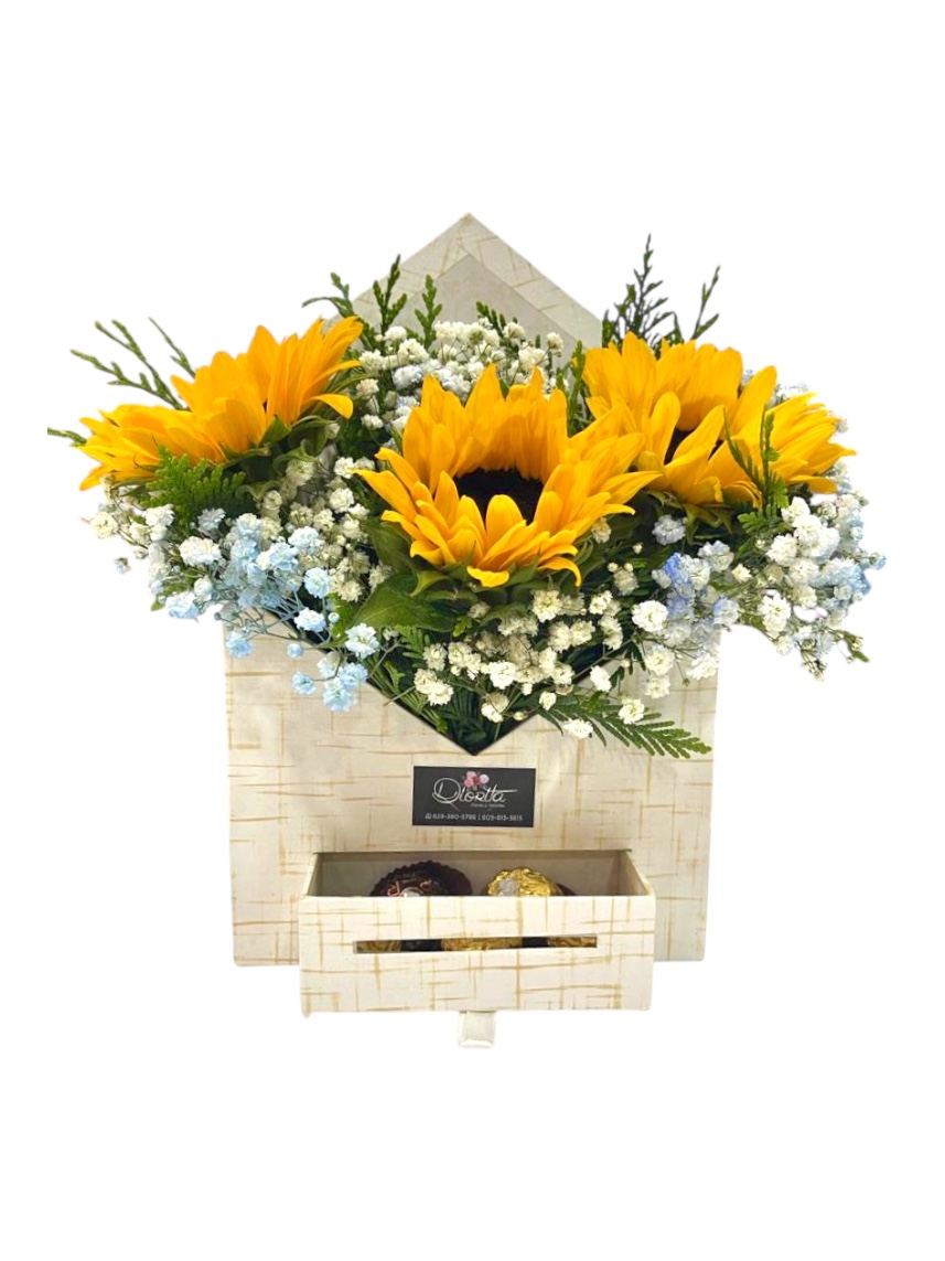 Arreglo Hogar de Luz