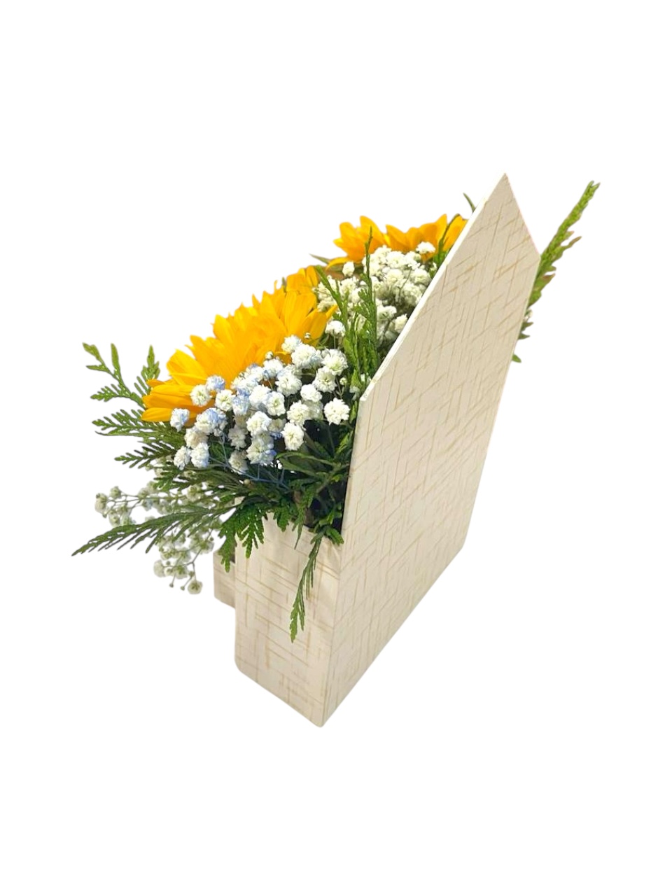 Arreglo Hogar de Luz