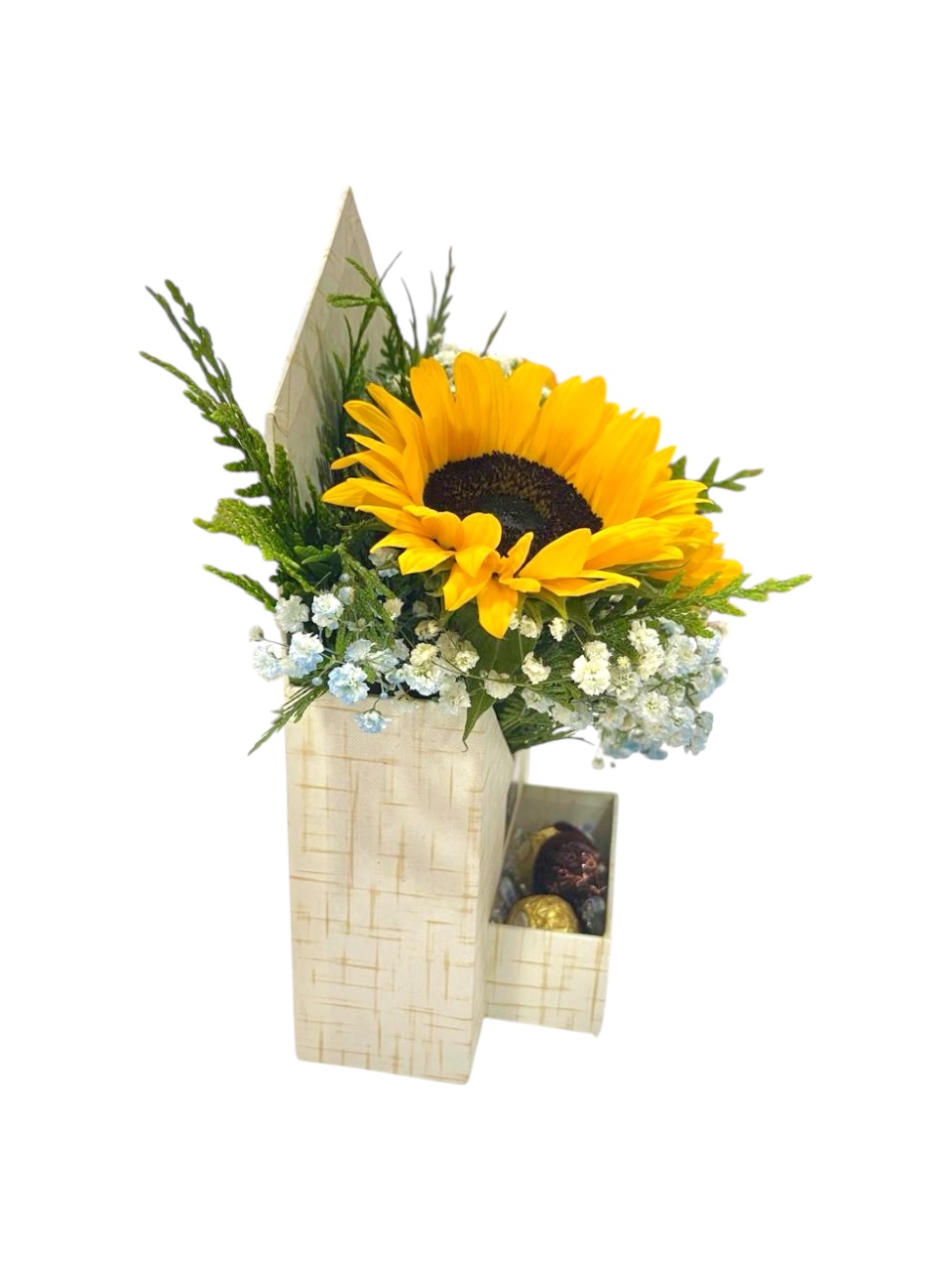 Arreglo Hogar de Luz