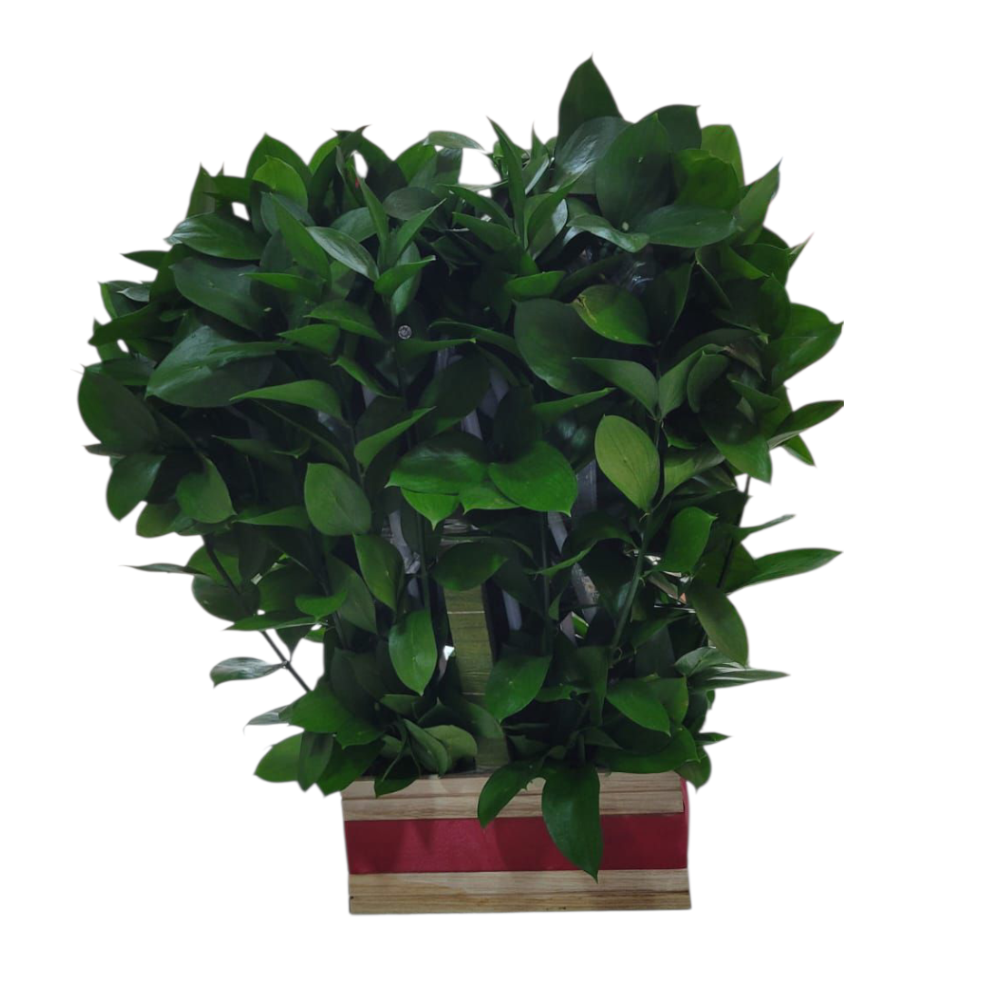 Arreglo Amor Elevado